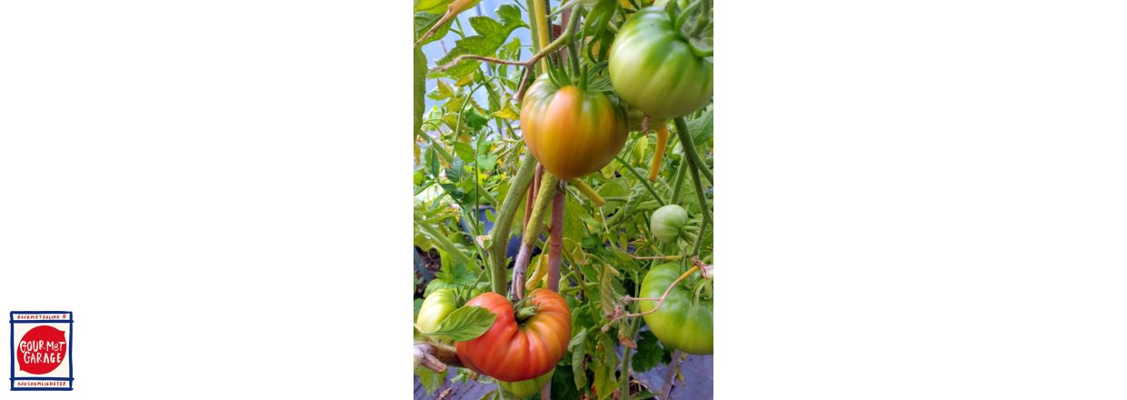 Sluta vattna tomaterna!